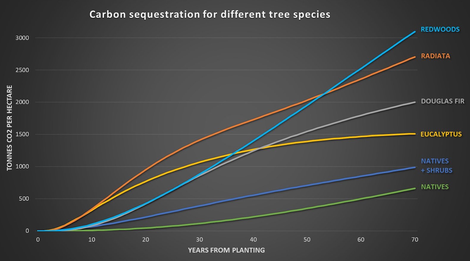 Plot comparing carbon sequestration rates for different forest tree species